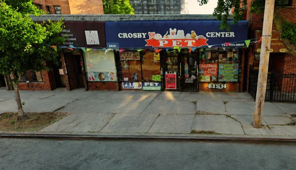 Tree root sidewalk damage at Crosby Pet Center, Bronx
