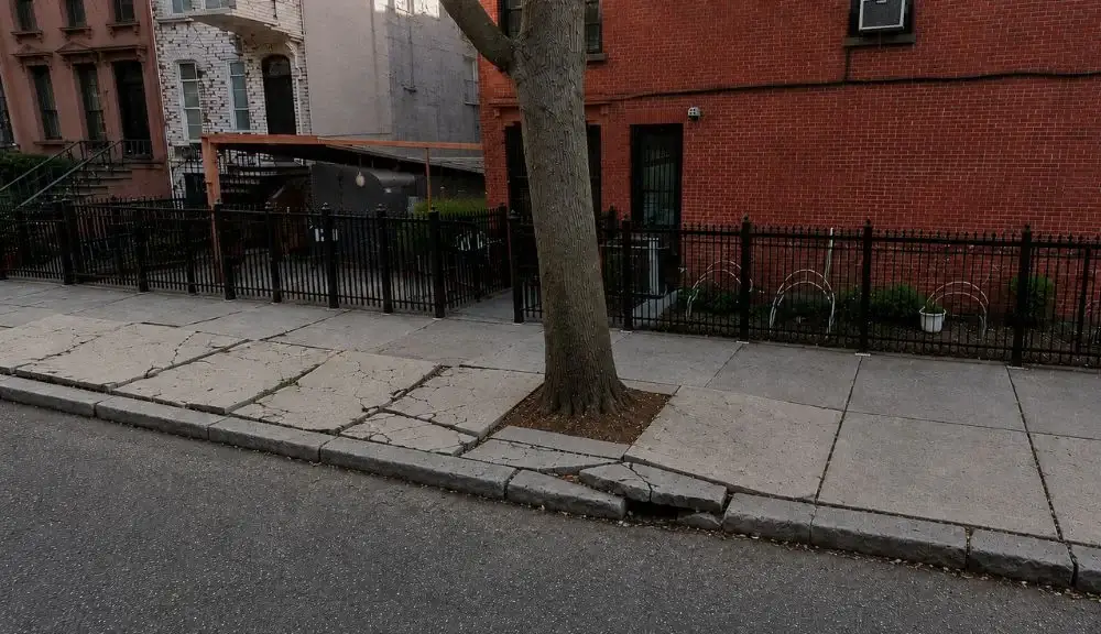 Tree root sidewalk damage at 32 Downing St, Brooklyn