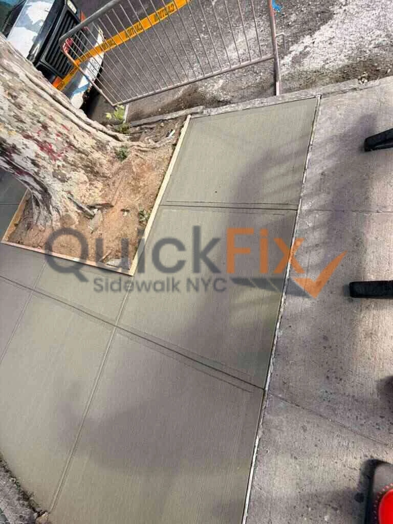 Tree root damage repair and slab replacement in NYC